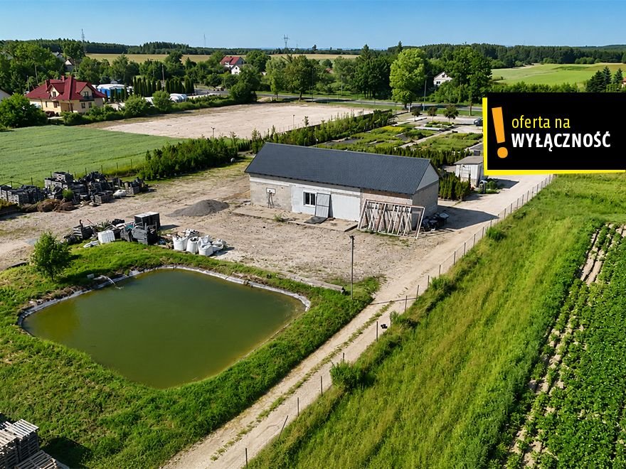 Zapraszam do inwestycji na działce 24 139 m² w Celinach Celiny  24 139m2 Foto 1