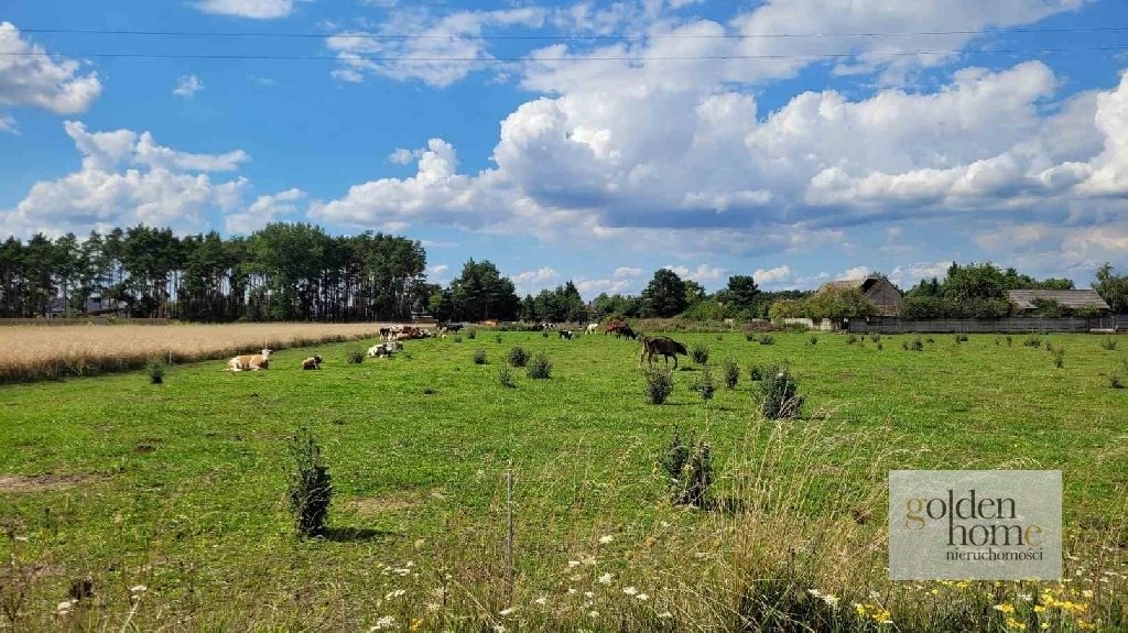 Działka budowlana na sprzedaż Drużyna, Bazyliowa  915m2 Foto 5