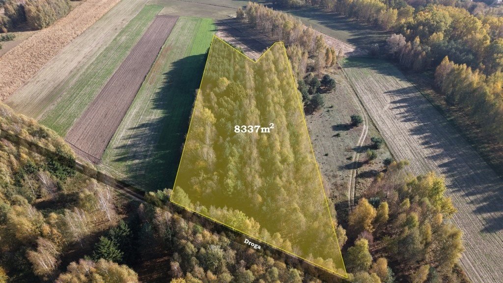Do sprzedania zalesiona działka 8 337 m² w Strzeszewie Strzeszewo  8 337m2 Foto 1