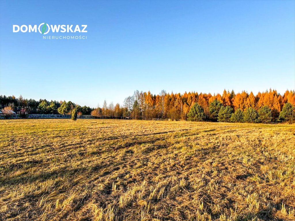 Działka przemysłowo-handlowa na sprzedaż Choroń, Częstochowska  16 000m2 Foto 4