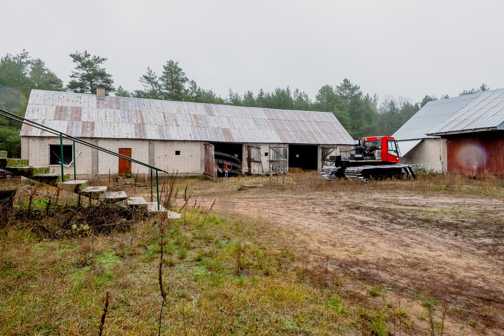 Działka rolna na sprzedaż Olszowa Droga  228 800m2 Foto 12