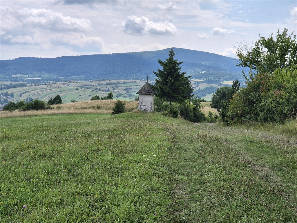 Działka rolna na sprzedaż Posada Jaśliska  9 300m2 Foto 10