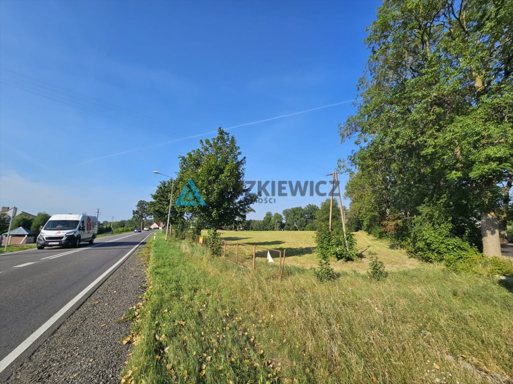 Działka budowlana na sprzedaż Dąbie  16 000m2 Foto 7