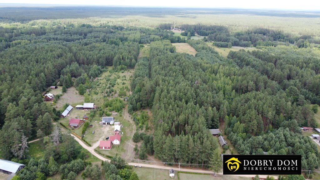 Działka leśna z prawem budowy na sprzedaż Rudawka  10 000m2 Foto 4