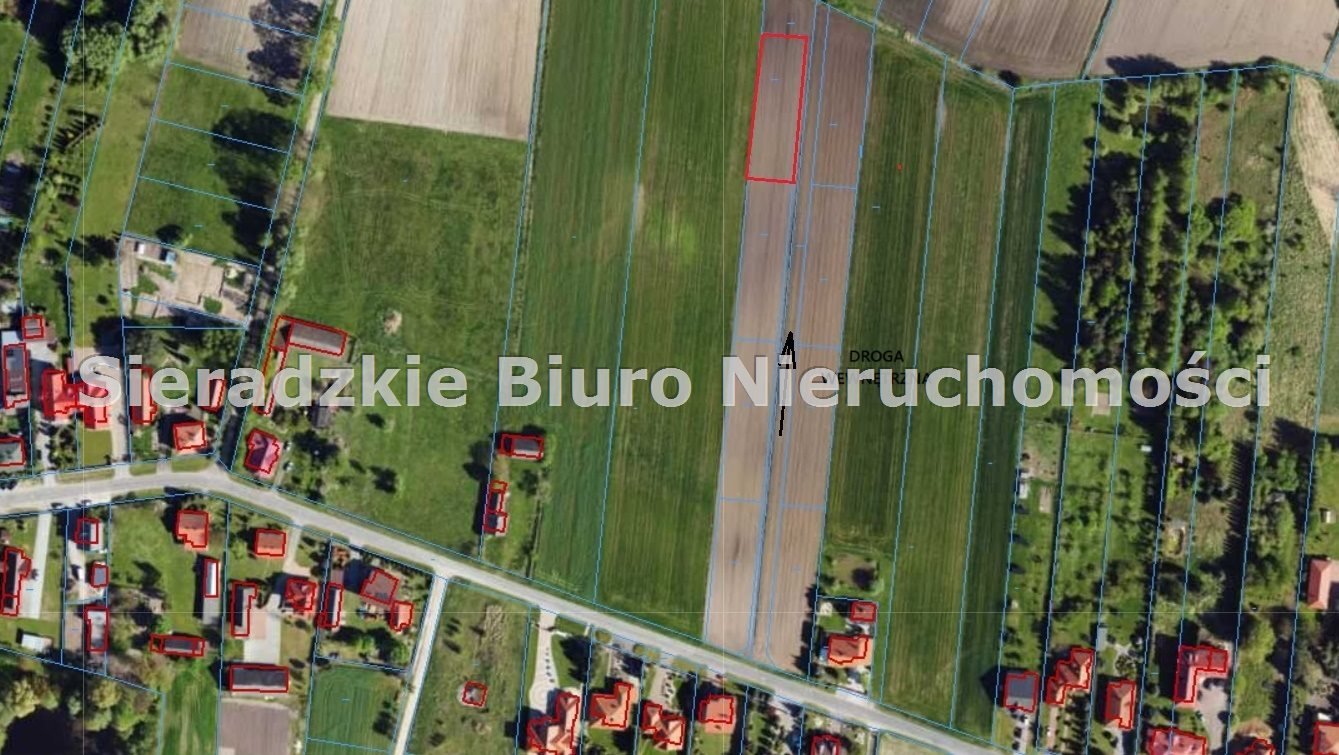 Zdjęcie 3