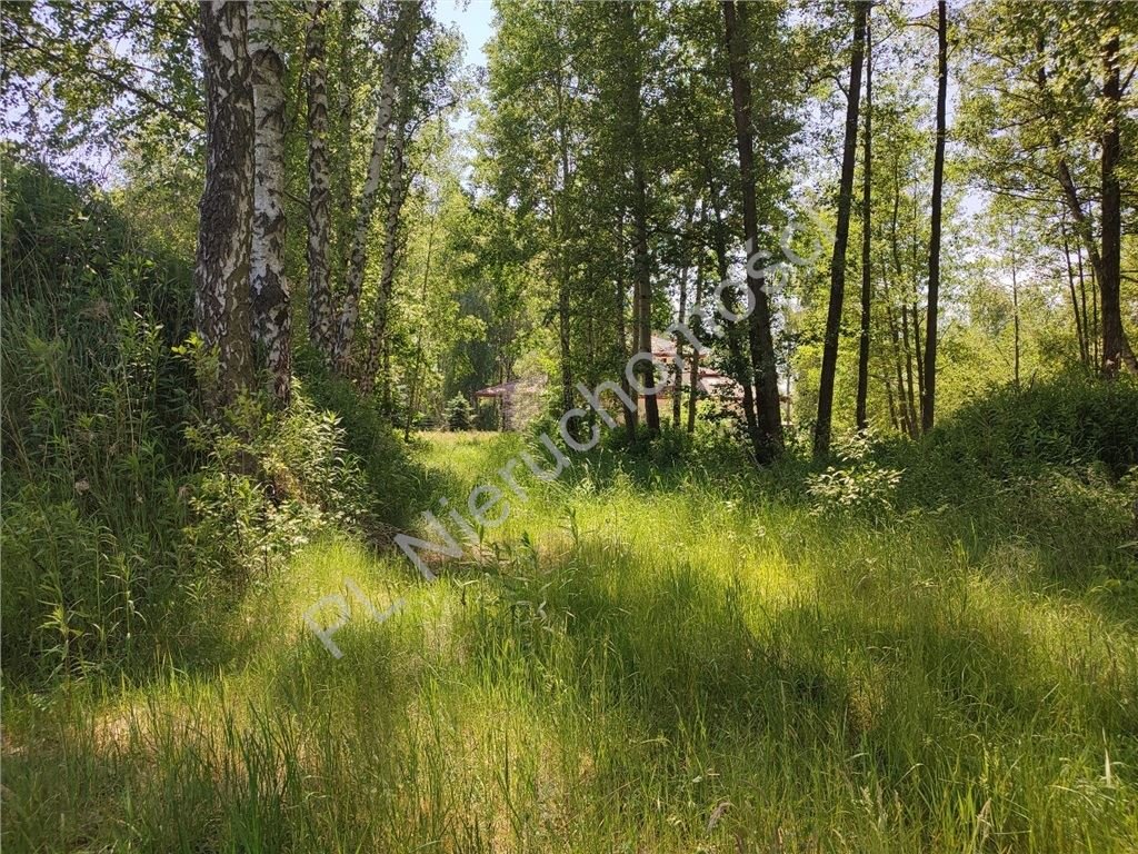 Działka budowlana na sprzedaż Czarny Las  1 800m2 Foto 4