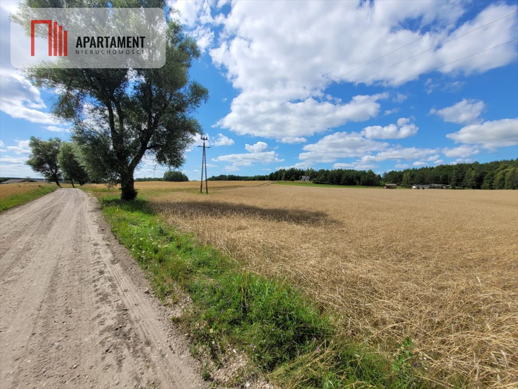 Działka gospodarstwo rolne na sprzedaż Skorzewo  6 000m2 Foto 4