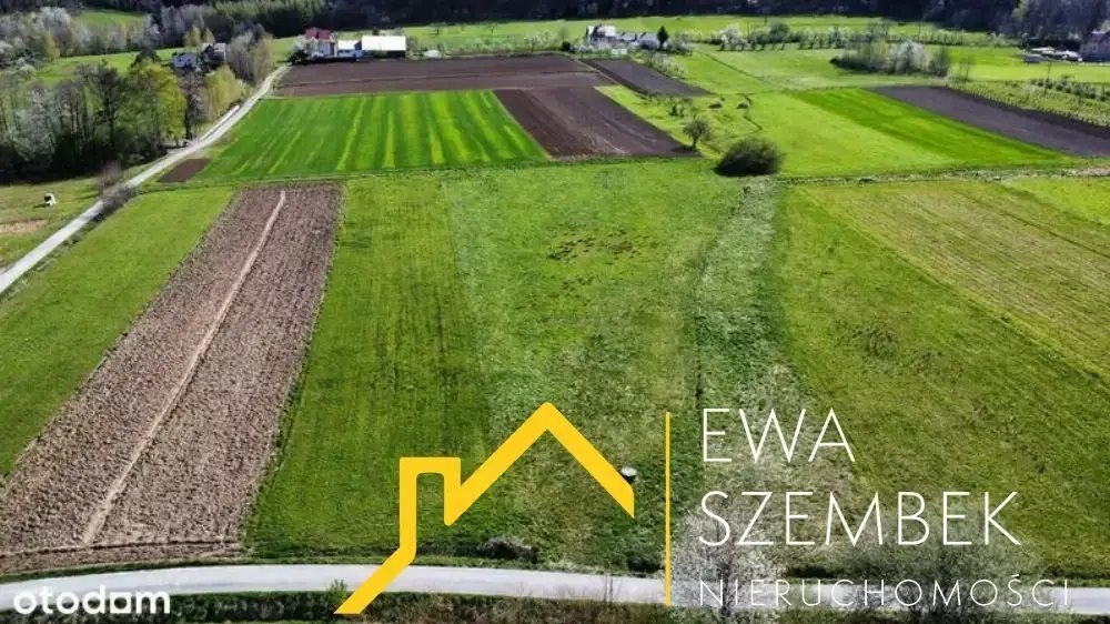 Działka inna na sprzedaż Żegocina  1 000m2 Foto 3