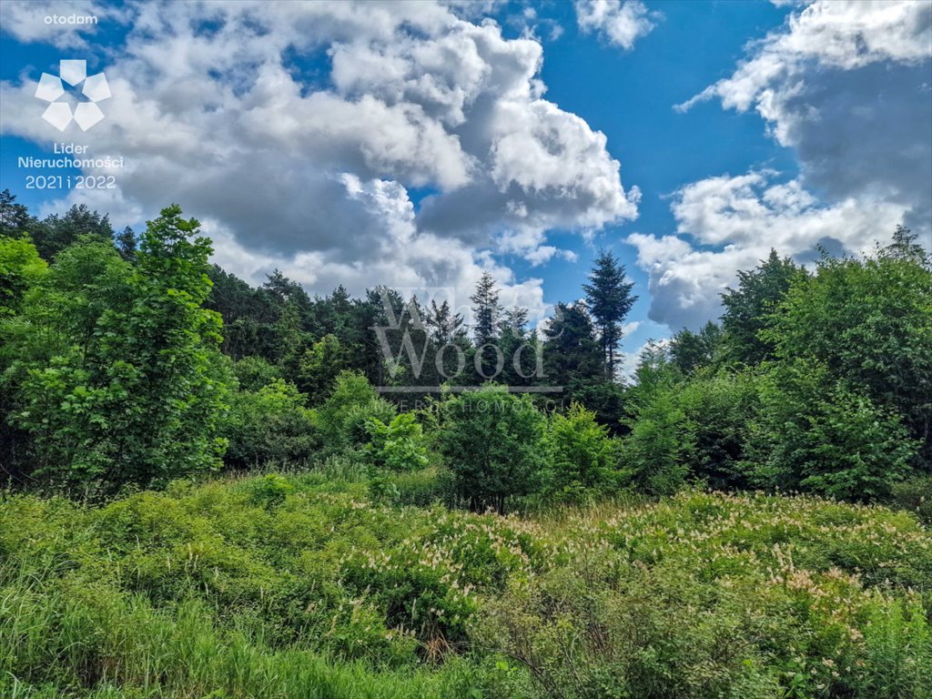 Działka budowlana na sprzedaż Bojano, Józefa Wybickiego  1 206m2 Foto 1