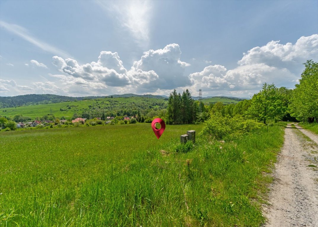 Działka budowlana na sprzedaż Żywiec, Okrężna  3 164m2 Foto 5