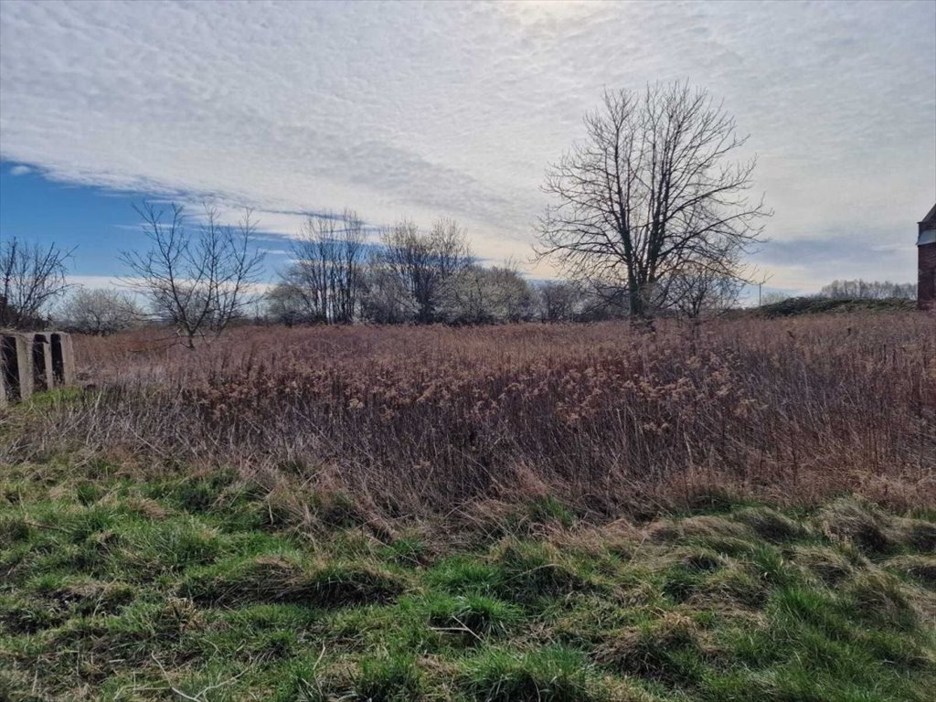 Działka budowlana 2637 m² z warunkami zabudowy w Jeszkowicach Jeszkowice  2 637m2 Foto 1