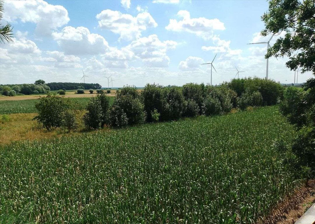 Dom na sprzedaż Psurze, 13  144m2 Foto 14