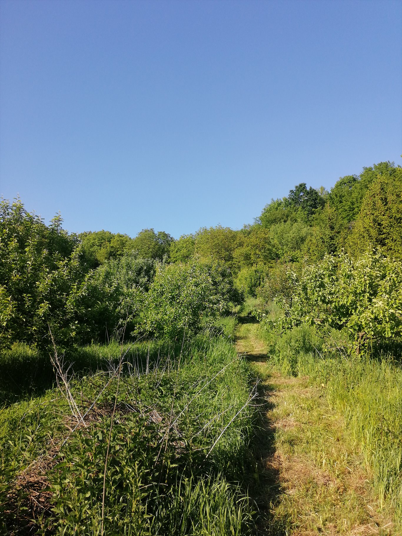 Dom na sprzedaż Krzeszów  110m2 Foto 5