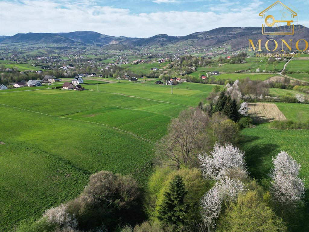 Działka rolna na sprzedaż Krasne Potockie  8 200m2 Foto 6