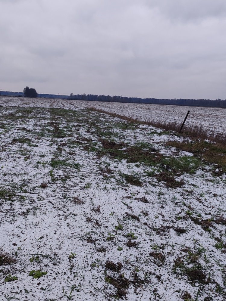 Działka siedliskowa na sprzedaż Dębowiec, Dębowiec  3 025m2 Foto 7