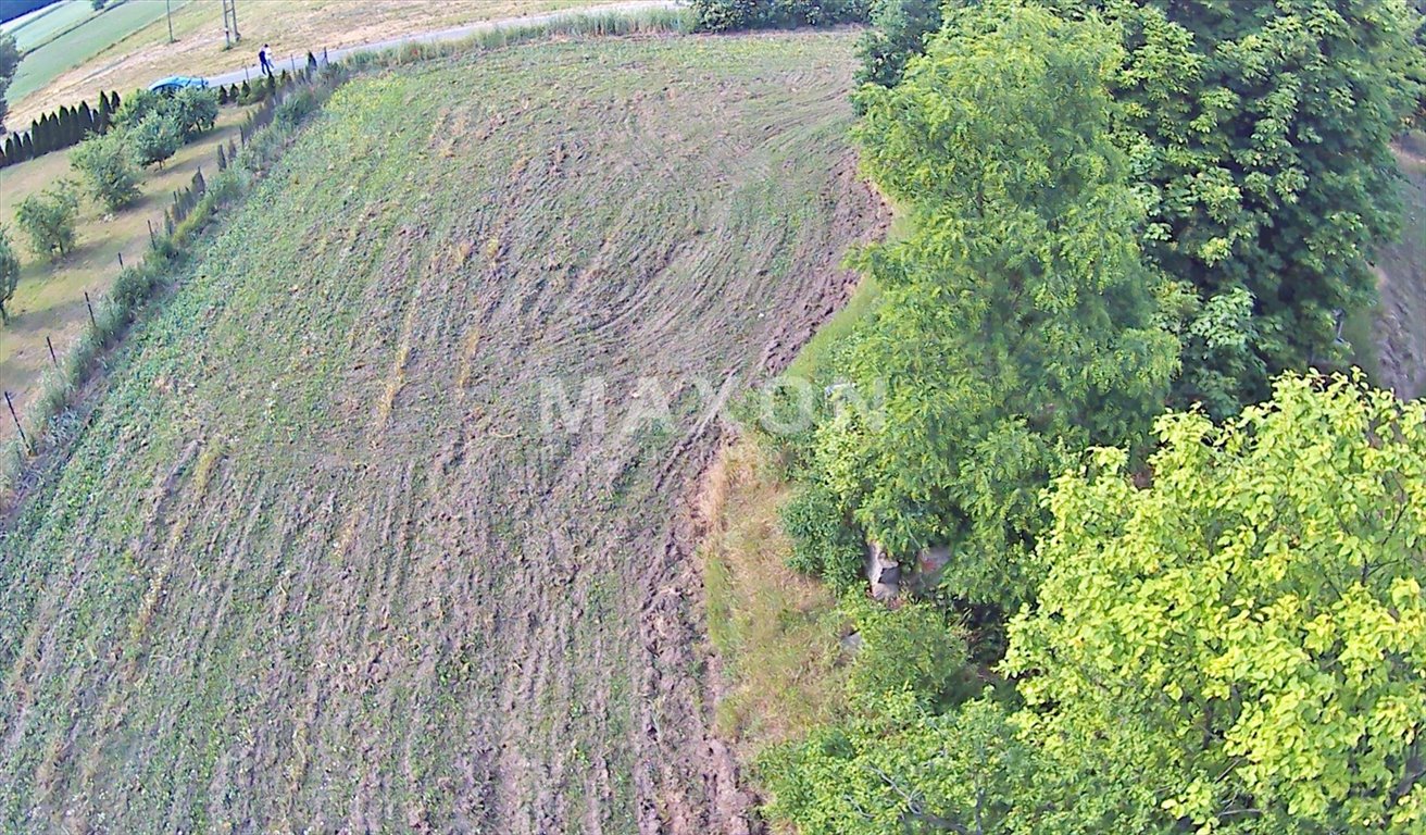 Działka rolna na sprzedaż Konary  10 700m2 Foto 5