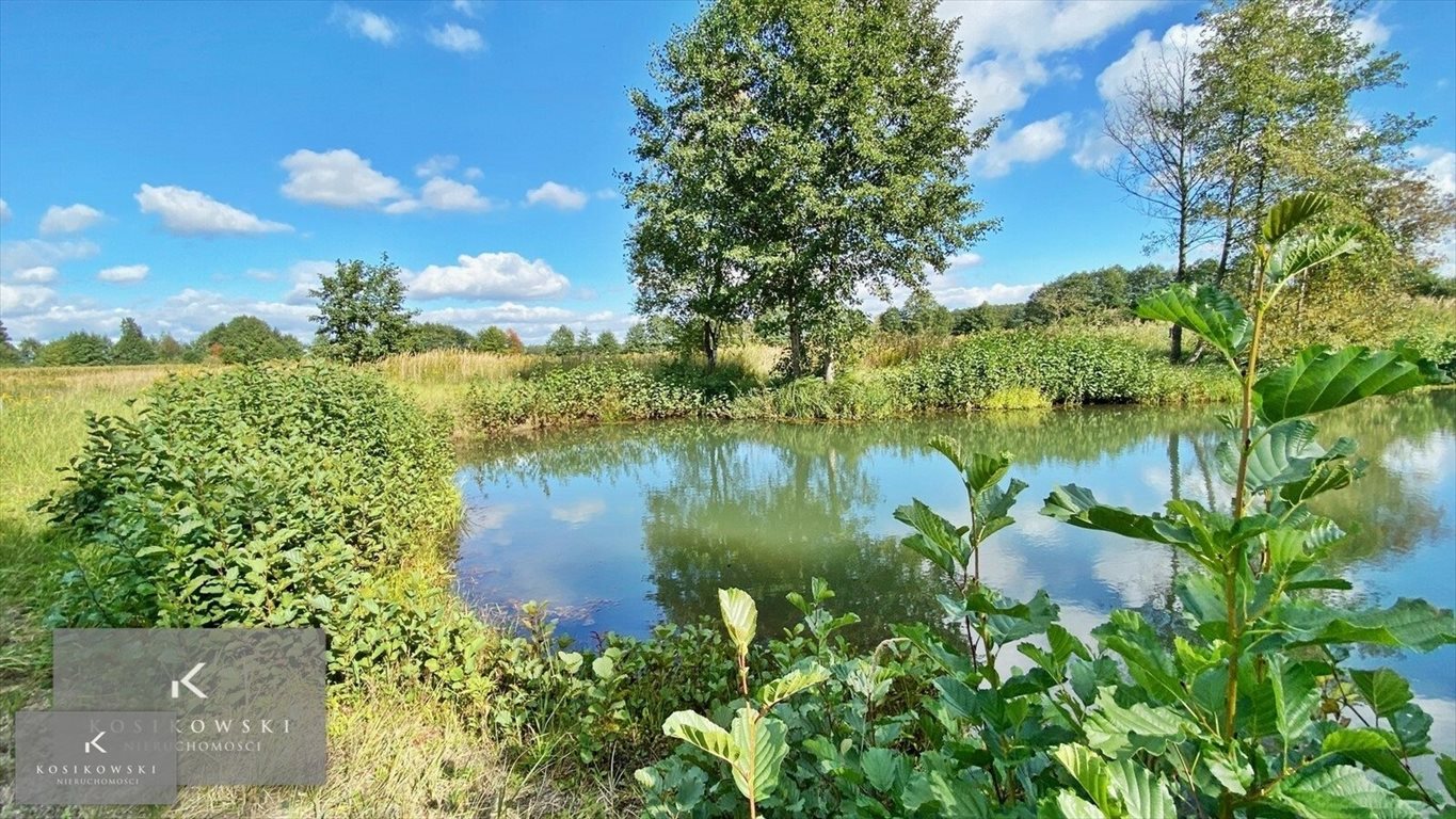 Działka inna na sprzedaż Namysłów, Domaszowice/Siemysłów  17 800m2 Foto 4