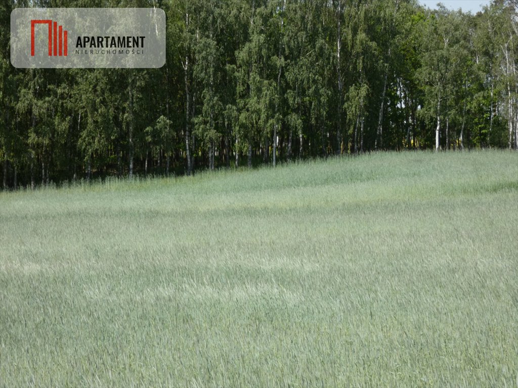 Działka budowlana na sprzedaż Rogowo  714m2 Foto 7