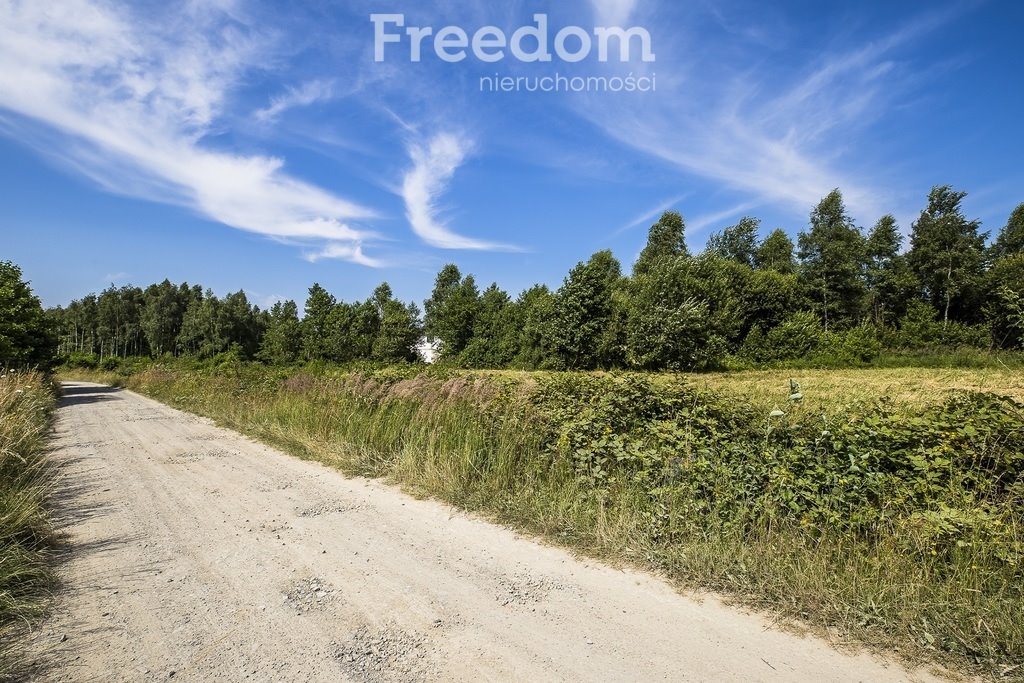 Działka budowlana na sprzedaż Lubenia  2 200m2 Foto 14