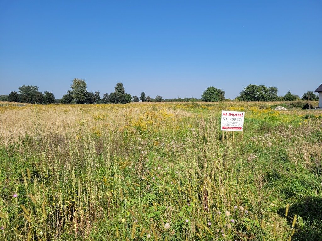 Działka budowlana na sprzedaż Borów  4 925m2 Foto 8