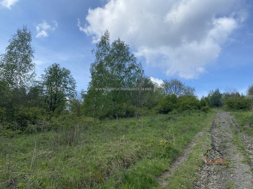 Na sprzedaż działka leśna 3,8 ha z dojazdem 4x4 w Jaszczurowej Jaszczurowa  3 800m2 Foto 1