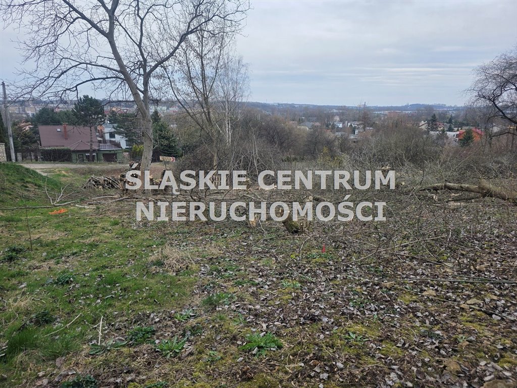 Zdjęcie 6