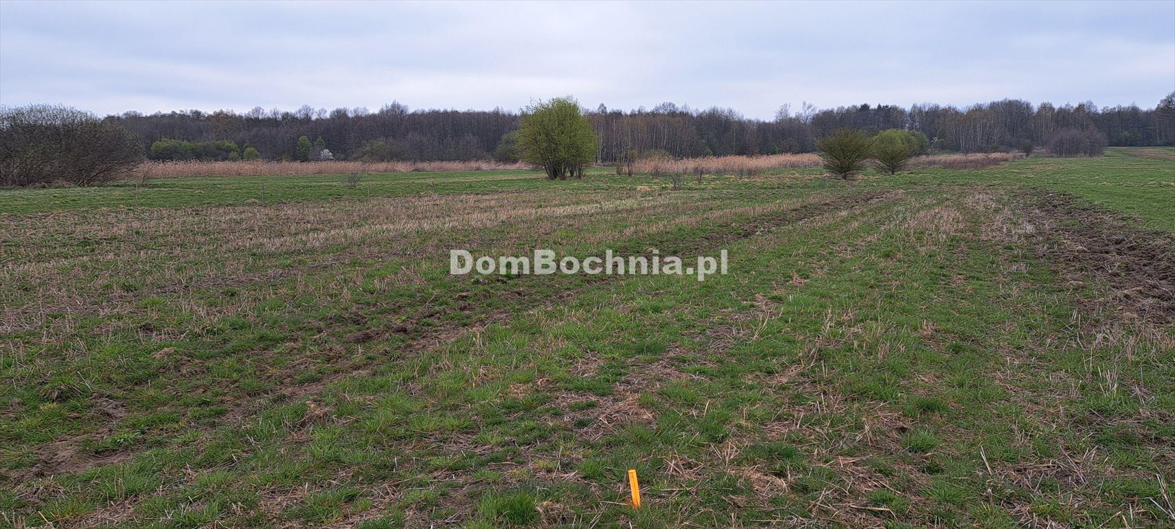 Działka 8587 m² z planem budowy i udziałem w drodze Jodłówka  8 587m2 Foto 1