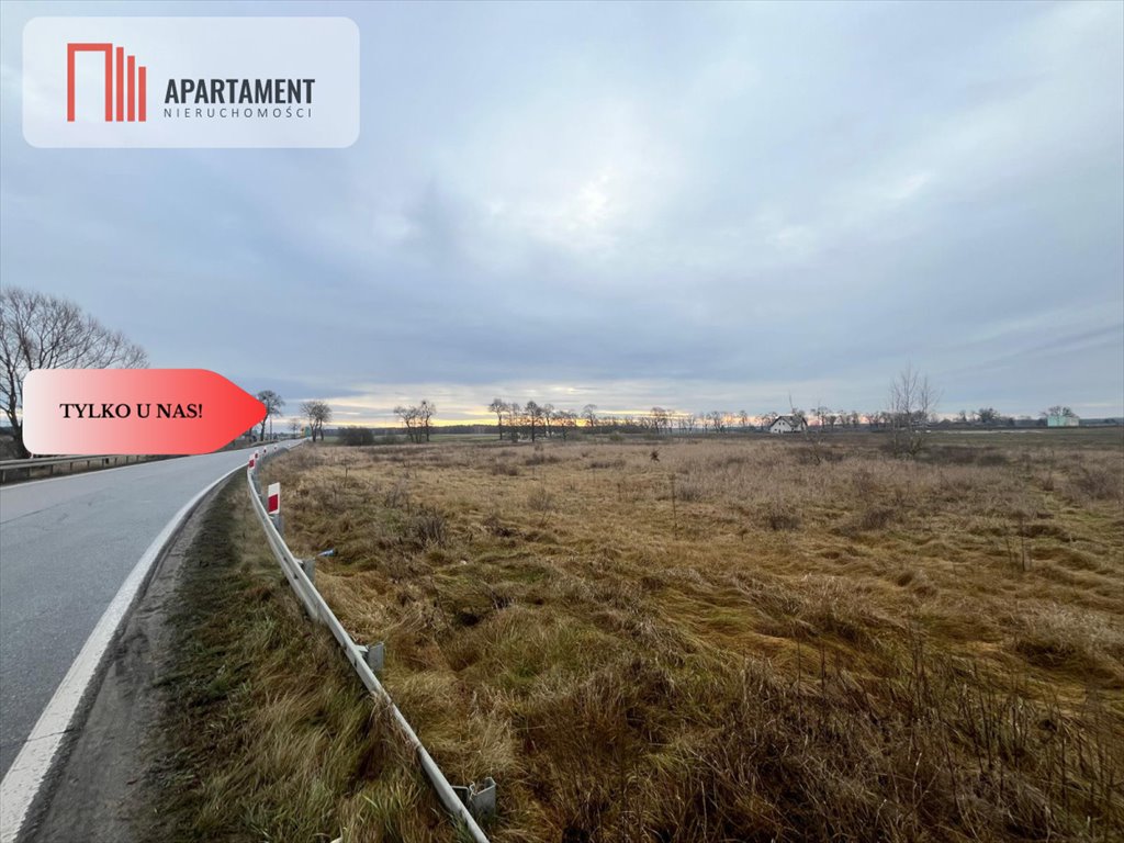 Działka budowlana na sprzedaż Olek  2 300m2 Foto 4