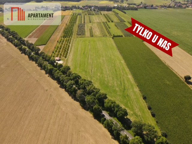 Dom na sprzedaż Stare Strącze  360m2 Foto 20