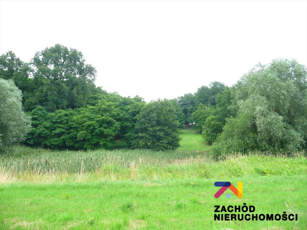 Urokliwa działka z stodołą i widokiem na wzgórze Przytok  22 600m2 Foto 1