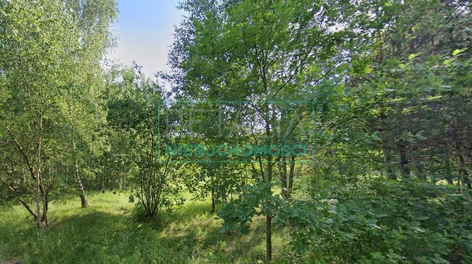 Działka leśna z prawem budowy na sprzedaż Budy Michałowskie  3 128m2 Foto 6
