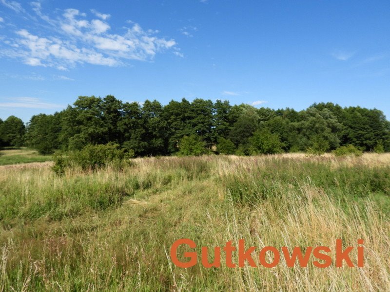 Działka siedliskowa na sprzedaż Szałkowo, Gmina Iława  5 000m2 Foto 4