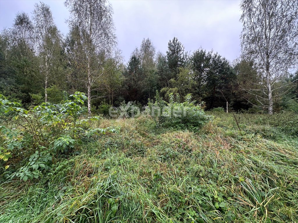 Działka budowlana na sprzedaż Libidza, Stawowa  9 000m2 Foto 3