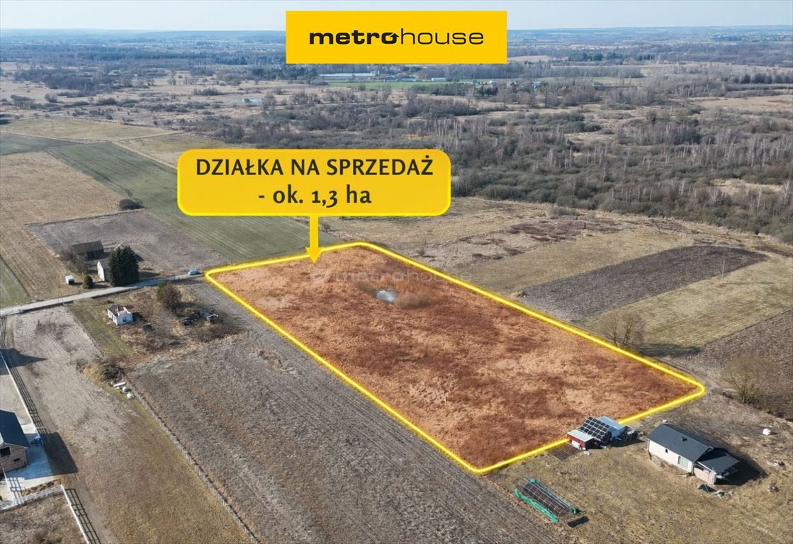 Działka 1,3 ha z oczkiem wodnym i dostępem do mediów Jagodnia  12 852m2 Foto 1