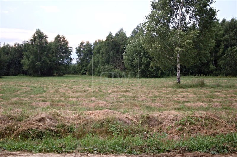 Działka rolna na sprzedaż Częstoniew-Kolonia  3 000m2 Foto 1