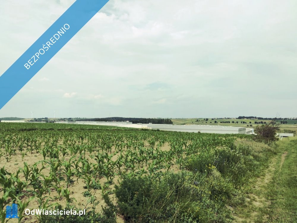 Działka budowlana na sprzedaż Gostyń  6 700m2 Foto 5