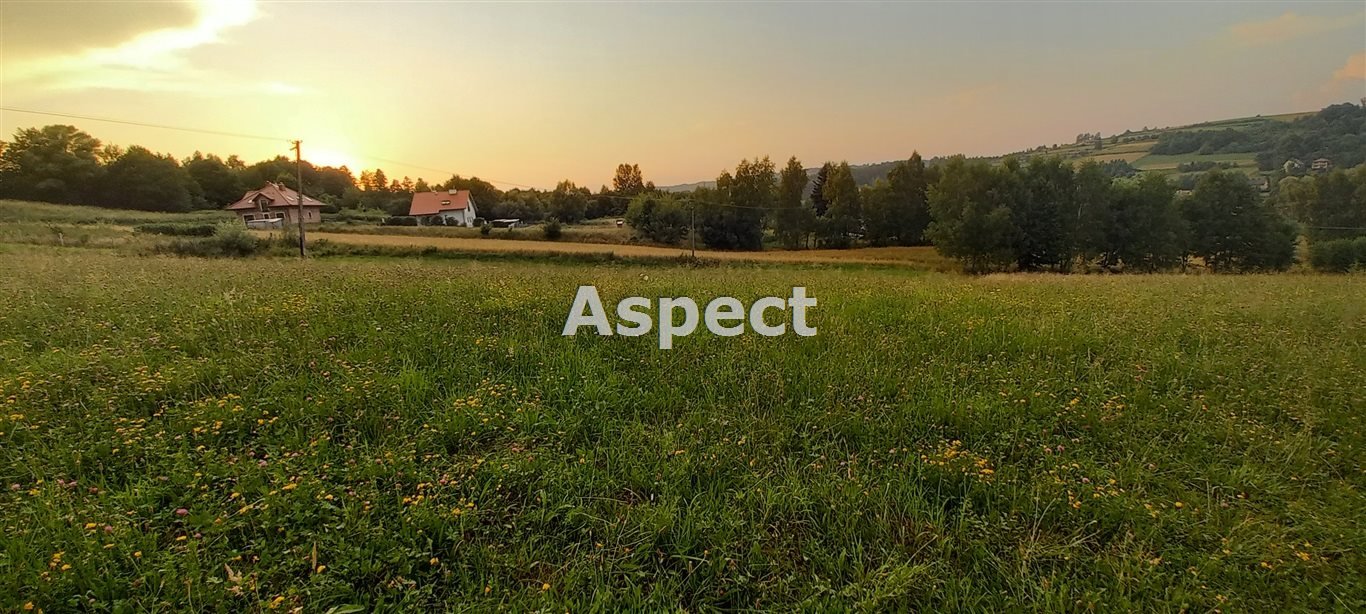 Działka budowlana na sprzedaż Tyczyn, Borek Stary  2 500m2 Foto 1