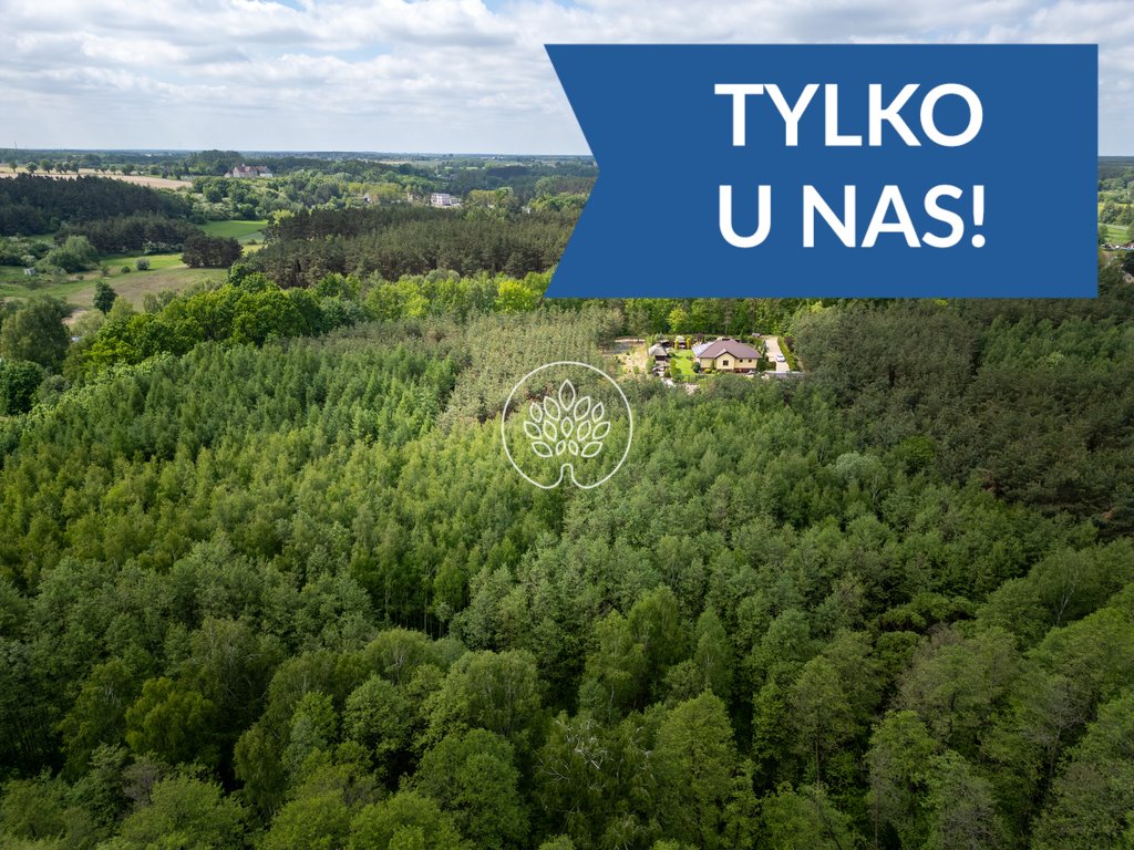 Dom 140m2 z prywatnym lasem 2,3ha w Bzówcu koło Mogilna Bydgoszcz  140m2 Foto 1