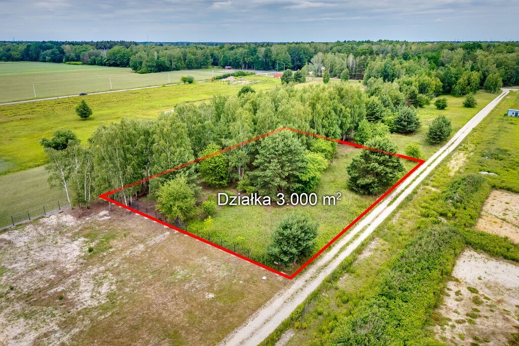 Działka 3000 m² z potencjałem inwestycyjnym w Boryszewie Boryszew, Calineczki  3 000m2 Foto 1