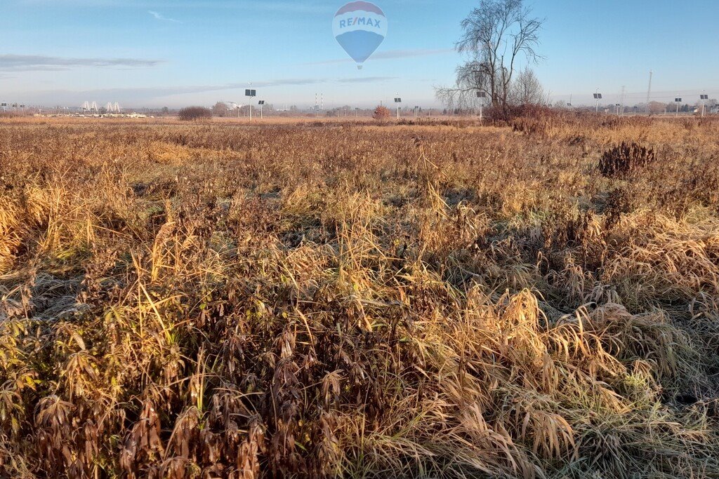 Działka rekreacyjna na sprzedaż Brzegi  4 779m2 Foto 3