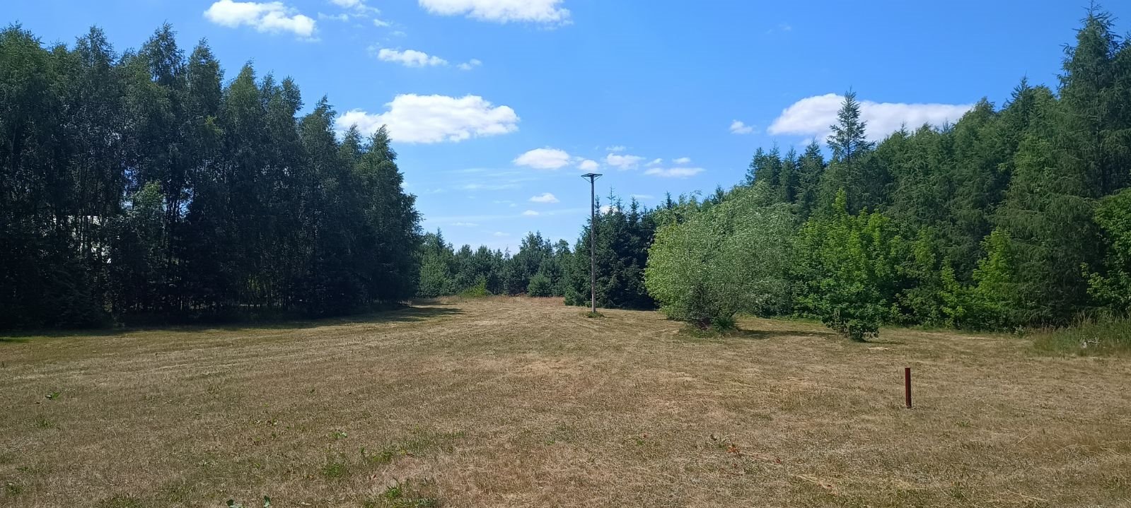 Działka budowlana na sprzedaż Długie Grodzieckie  4 000m2 Foto 5