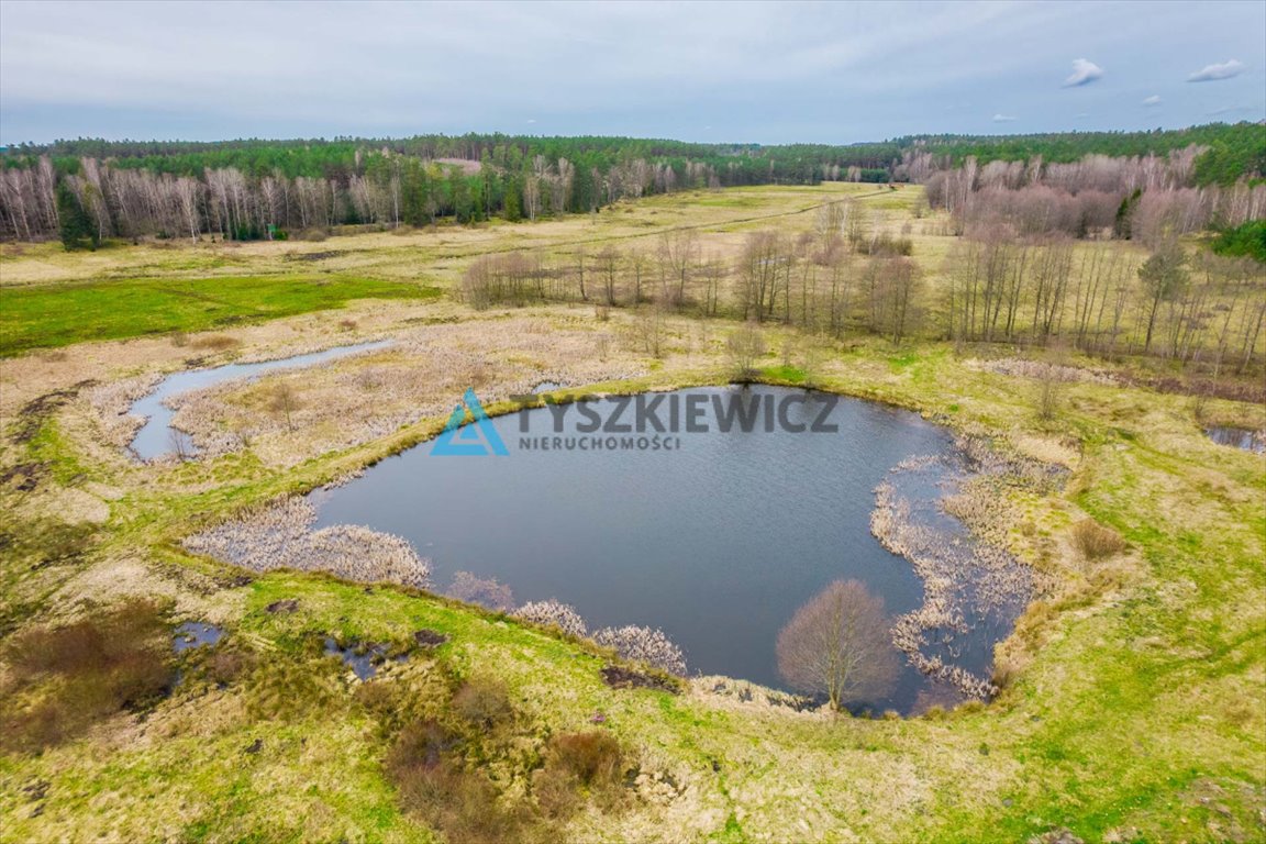 Działka rolna na sprzedaż Zielin  59 900m2 Foto 2