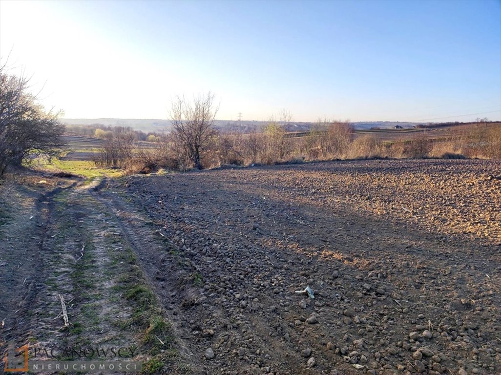 Działka rolna 61 arów z dojazdem asfaltowym i polnym Garlica Murowana  6 100m2 Foto 1