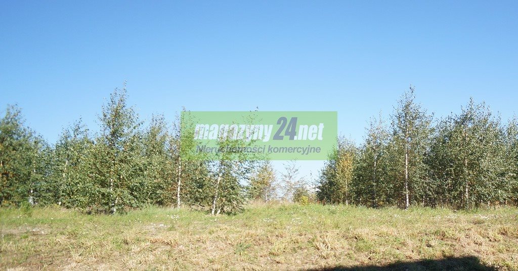 Działka przemysłowo-handlowa na sprzedaż Stara Wieś  72 000m2 Foto 1