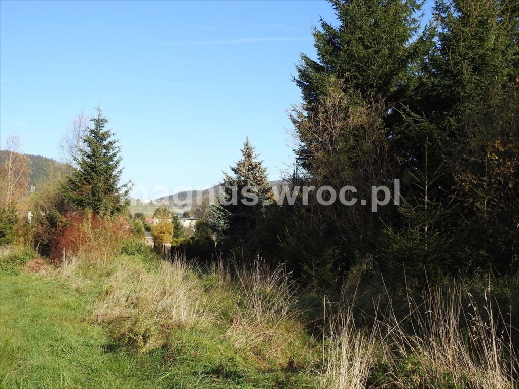 Działka budowlana na sprzedaż Boguszów-Gorce, Stary Lesieniec, Św. Barbary  1 000m2 Foto 9