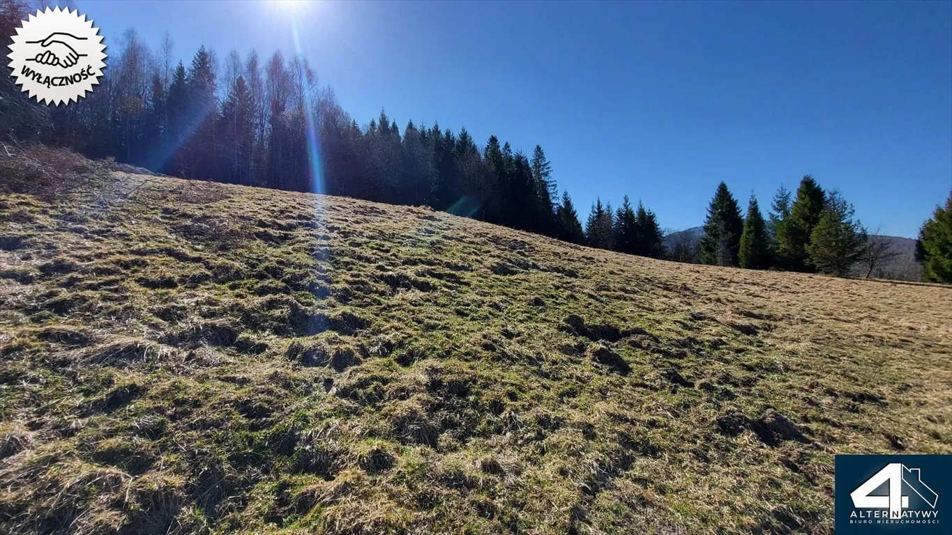Widokowa działka w Ujsołach z lasem i blisko szlaków Ujsoły, Letniskowa  1 400m2 Foto 1
