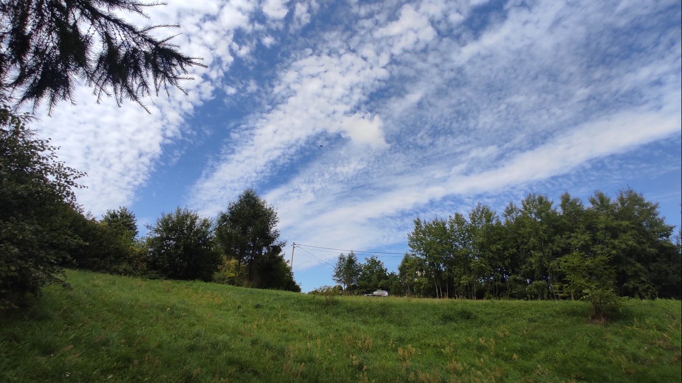 Działka budowlana na sprzedaż Radkowice-Kolonia  4 651m2 Foto 13