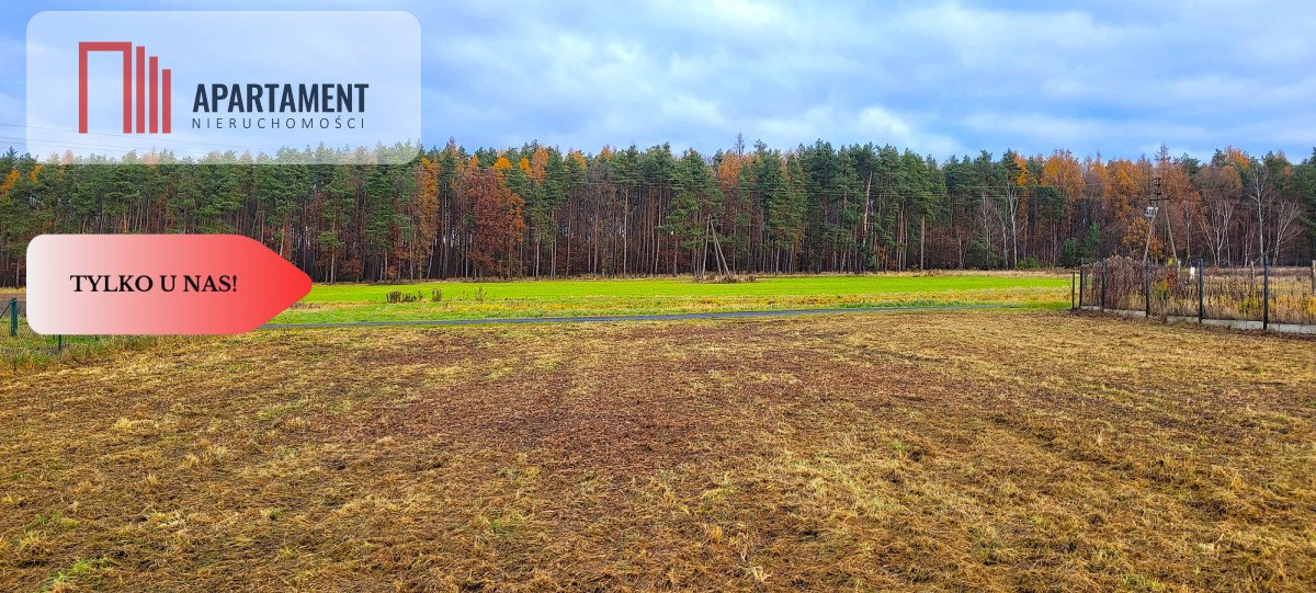 Działka budowlana na sprzedaż Zawonia  3 000m2 Foto 4