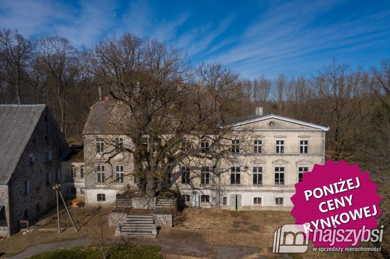 Urokliwy pałac z parkiem, 30 pokoi, 800 m² - zapraszam Ińsko, Centrum, Storkowo  800m2 Foto 1