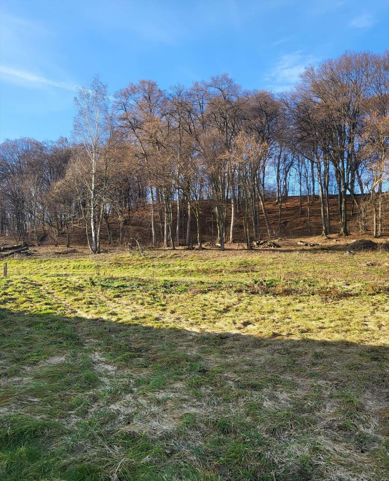 Działka budowlana na sprzedaż Jurków  21 000m2 Foto 7